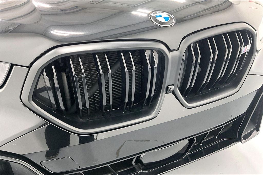 2025 BMW X6 M60i