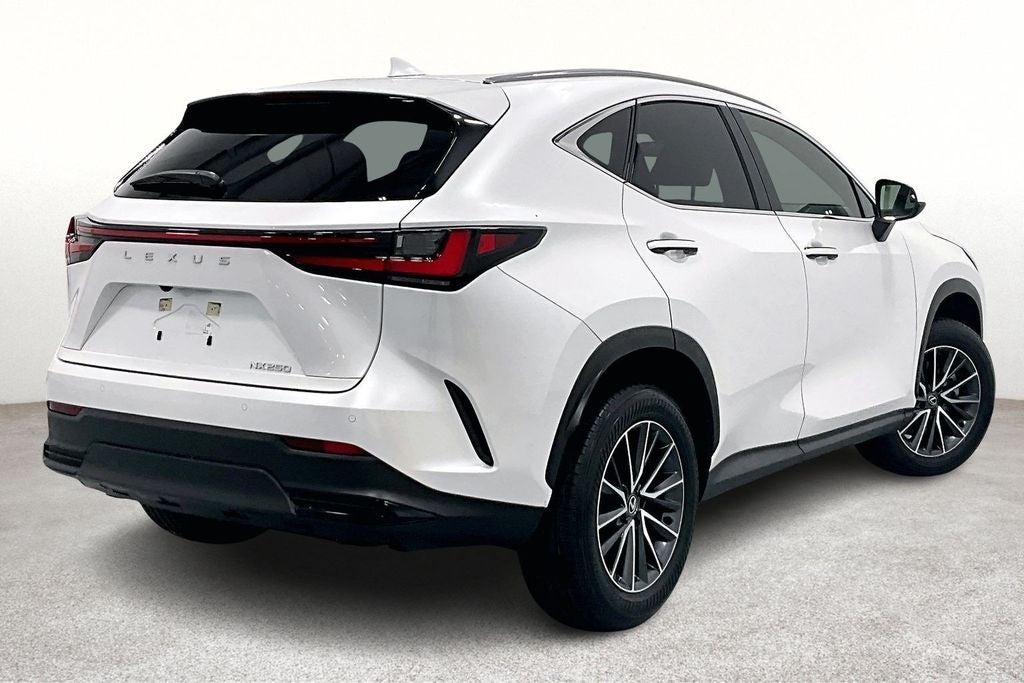 2025 Lexus NX 250 Premium