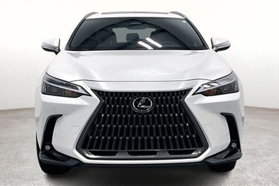 2025 Lexus NX 250 Premium
