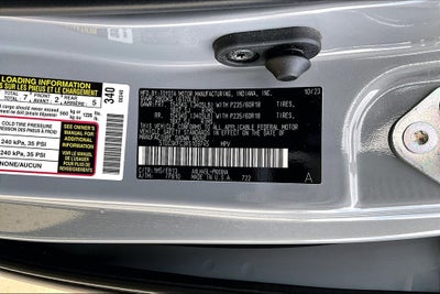 2024 Toyota Sienna Woodland Edition